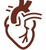 heart1_P_full